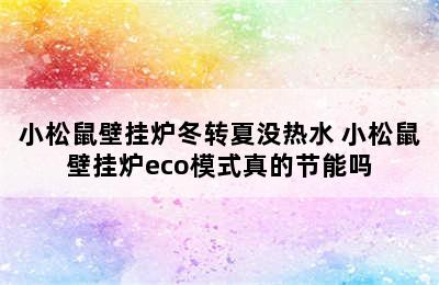 小松鼠壁挂炉冬转夏没热水 小松鼠壁挂炉eco模式真的节能吗